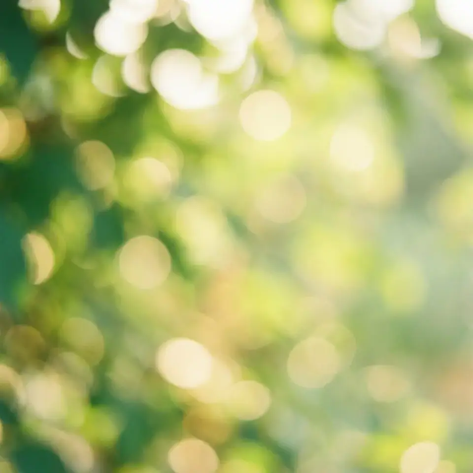 Warm sunlight filtering through green leaves