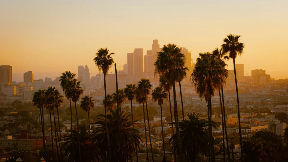 Palm trees silhouetted against the downtown Los Angeles skyline at golden hour
