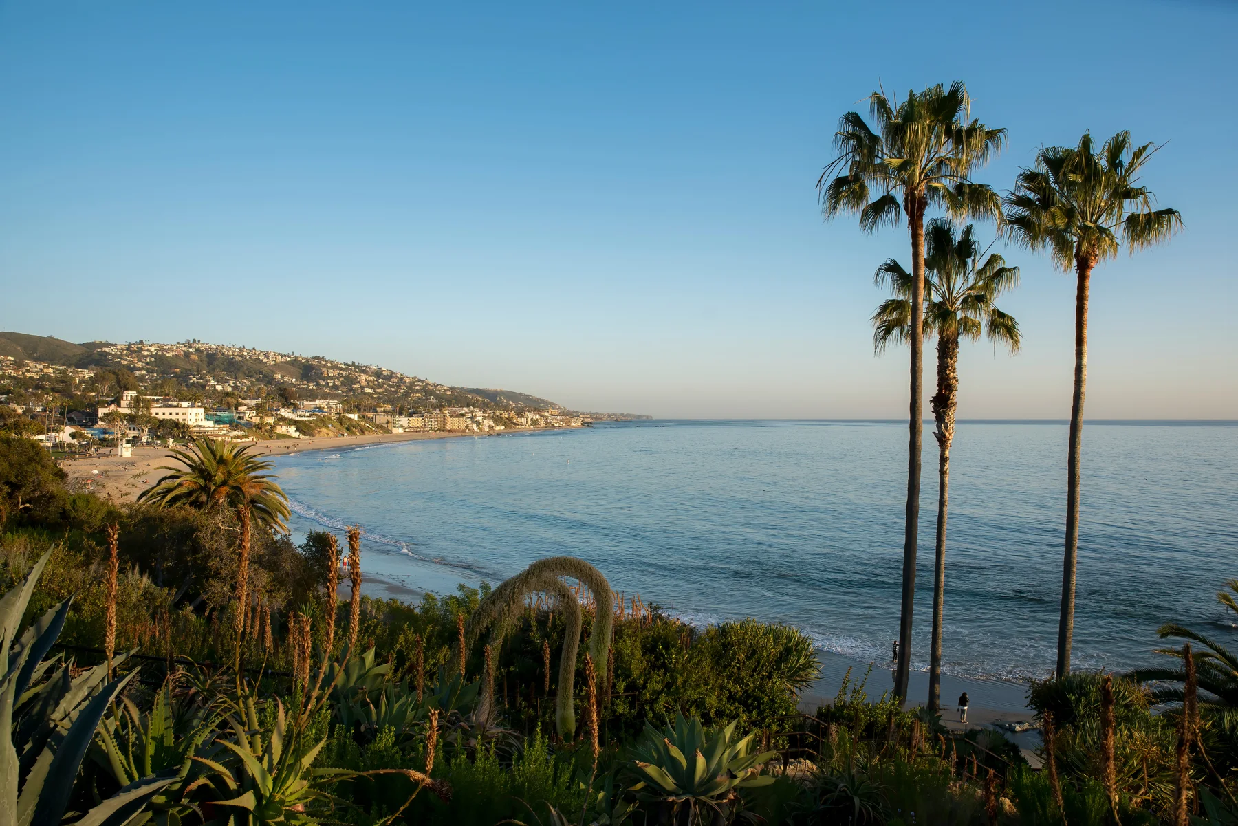 California coastline, an illustration of coastal life
